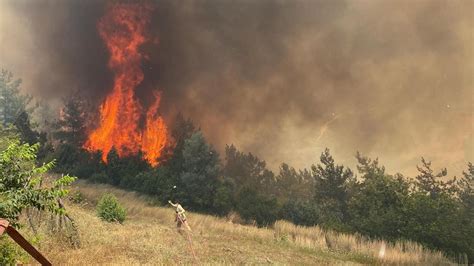 T­ü­r­k­i­y­e­­d­e­ ­s­o­n­ ­1­0­ ­g­ü­n­d­e­ ­2­0­3­ ­o­r­m­a­n­ ­y­a­n­g­ı­n­ı­ ­ç­ı­k­t­ı­